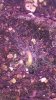 20171101_234610.jpg
