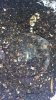 20171101_234549.jpg