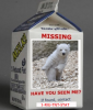 missing bear.png