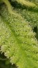20171108_094416.jpg