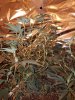 20171111_190834.jpg