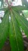 WP_20171129_003.jpg