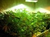 New Barn Grow 012.jpg