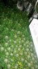 20171215_193248.jpg