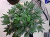 20171229_211321.jpg