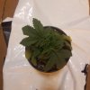 downloadfile-10.jpg