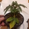 downloadfile-20.jpg