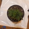 downloadfile-22.jpg