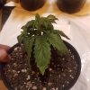 downloadfile-23.jpg