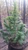 20180125_184940.jpg
