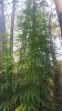 20180125_185031.jpg