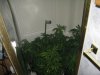 grow setup 005.jpg