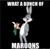 bugs-maroons.JPG