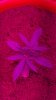 20180131_142125.jpg