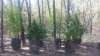 20180209_094757-818x460.jpg