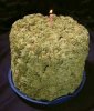 -best-birthday-cake-its-my-birthday.jpg