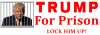 trump_for_prison_sign_by_darkkomet-dalogwu.png