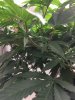 8E4360EA-393C-4C41-A14A-8EEDD92CA706.jpeg