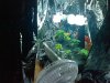 IMAG0242.jpg