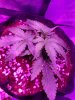 20180319_213425.jpg
