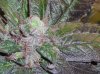DSCN4408.jpg