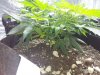 20180511_070518.jpg