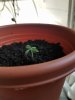20180520_160915.jpg