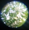 20180522_110537.jpg