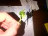 IMG-20180523-01338.jpg