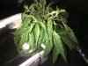 IMG-20180523-01351.jpg