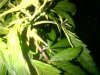 IMG-20180523-01349.jpg