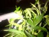 IMG-20180523-01344.jpg