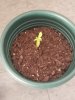 20180524_184218.jpg