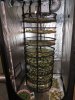 IMG_0298 (2916 x 3888).jpg