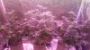 20180527_122233.jpg