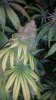20170626_000537.jpg