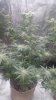 20180609_064856.jpg