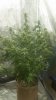 20180609_064923.jpg