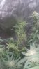 20180609_065013.jpg