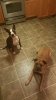 20171202_175322.jpg