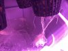 5ABC9001-E55A-4352-90B8-8E439635A214.jpeg