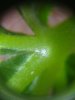IMG_20180610_132851732.jpg