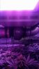 20180613_094308.jpg