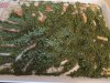 IMG_0331 (3888 x 2916).jpg