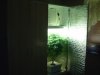 PICT0010.JPG
