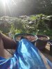 IMG_20180706_081525.jpg