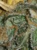 20180714_131348.jpg