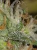 20180714_131315.jpg