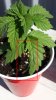 20180723_110335.jpg