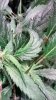 clean_IMG_20180702_150912398_HDR.jpg